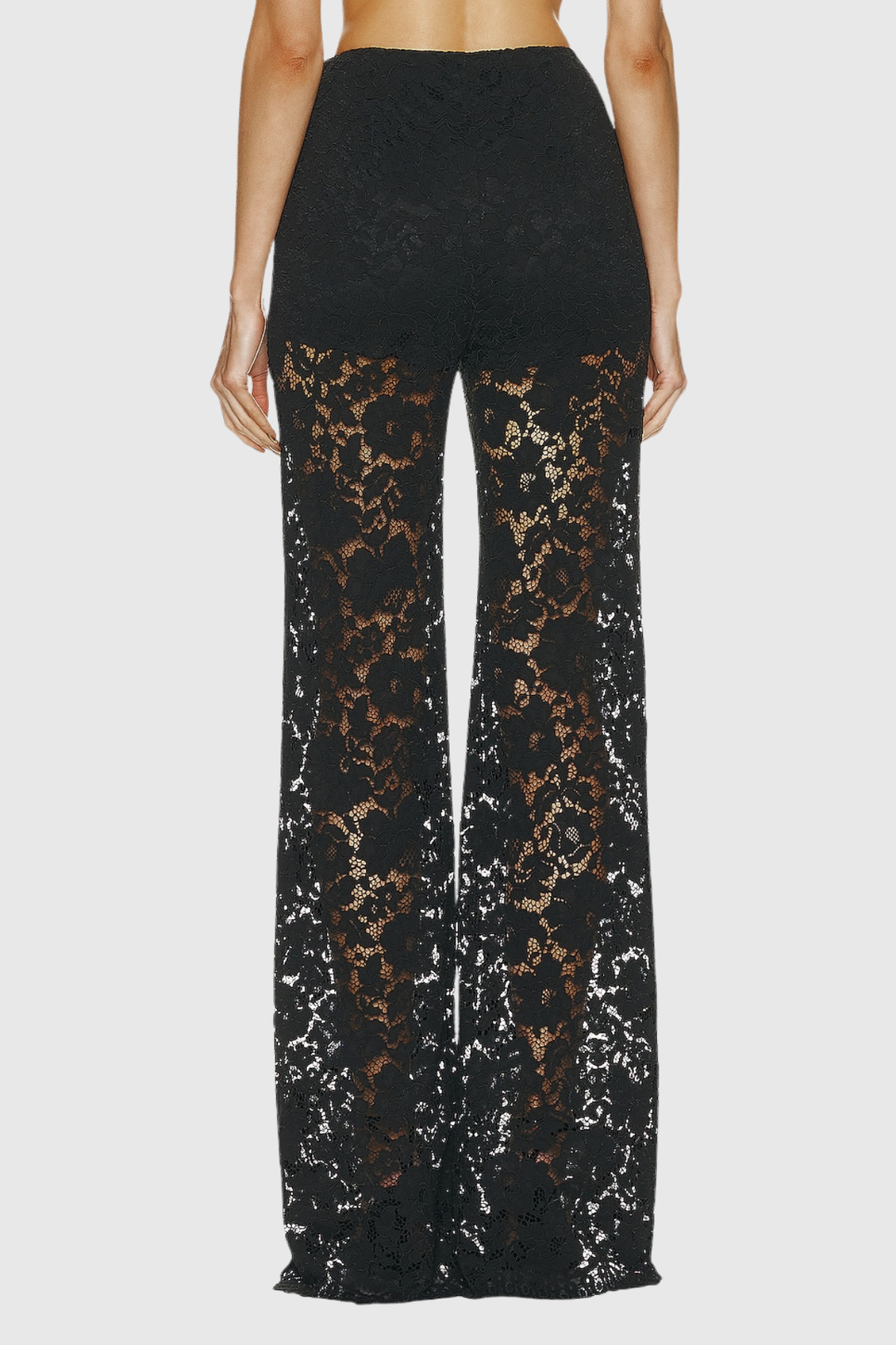 Sofia- Floral Lace Pants Set